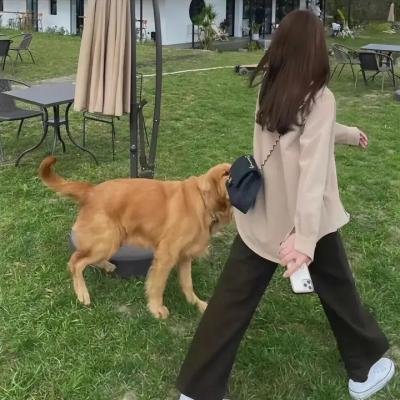 凶手还未睡